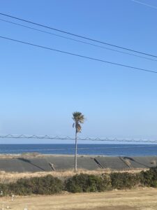 美味しい楽しいオジ＆ジイ